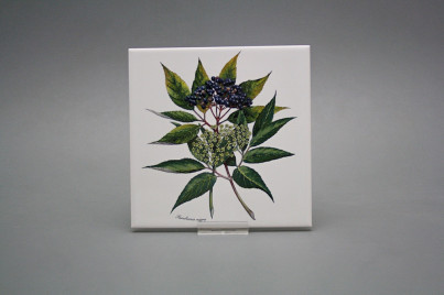 Sada obkladů 15x15cm 6dílná Herbs WM č.1