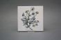Sada obkladů 15x15cm 6dílná Herbs WM č.5