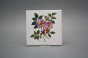 Sada obkladů 15x15cm 6dílná Herbs WM č.6