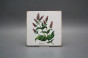 Sada obkladů Forli Blanco 15x15cm 6dílná Herbs č.2