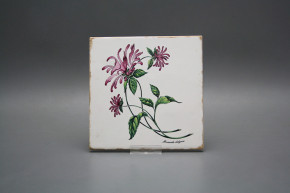 Sada obkladů Forli Blanco 15x15cm 6dílná Herbs