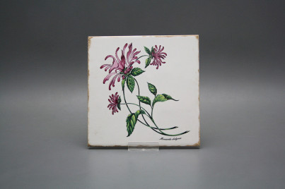 Sada obkladů Forli Blanco 15x15cm 6dílná Herbs č.1