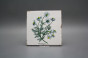Sada obkladů Forli Blanco 15x15cm 6dílná Herbs č.6