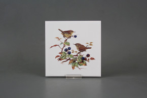Obklad 15x15cm Střízlík WM