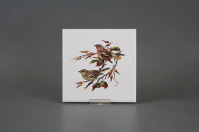 Obklad 15x15cm Pěnkava WM