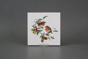 Obklad 15x15cm Červenka WM