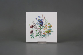 Obklad 15x15cm Kvetoucí louka motiv D WM