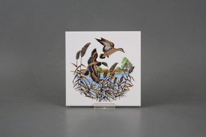 Obklad 15x15cm Kachny WM č.1