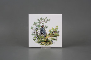 Obklad 15x15cm Koroptve WM