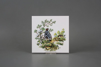 Obklad 15x15cm Koroptve WM č.1