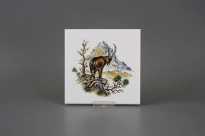 Obklad 15x15cm Kozoroh WM