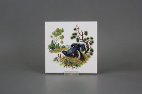 Obklad 15x15cm Tetřívek WM