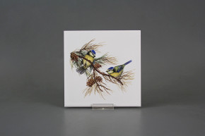 Obklad 15x15cm Sýkorka WM