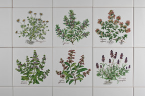 Sada obkladů 15x15cm 6dílná Herbs Classic WM