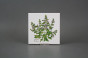 Sada obkladů 15x15cm 6dílná Herbs Classic WM č.2