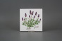 Sada obkladů 15x15cm 6dílná Herbs Classic WM č.3