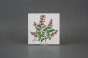 Sada obkladů 15x15cm 6dílná Herbs Classic WM č.4
