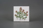 Sada obkladů 15x15cm 6dílná Herbs Classic WM č.5