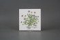 Sada obkladů 15x15cm 6dílná Herbs Classic WM č.6