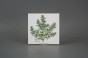 Sada obkladů 15x15cm 6dílná Herbs Classic WM č.7