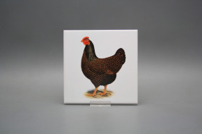 Obklad 15x15cm Slepičky WM
