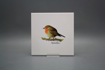 Obklad 20x20cm Červenka WM č.1