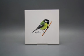 Obklad 20x20cm Koňadra WM