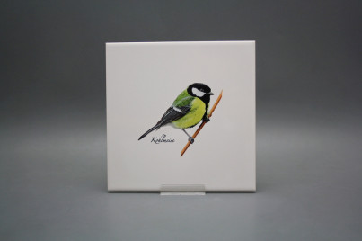 Obklad 20x20cm Koňadra WM č.1