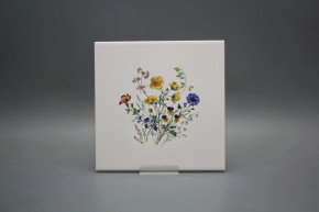 Obklad 20x20cm Kvetoucí louka motiv B WM