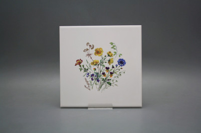 Obklad 20x20cm Kvetoucí louka motiv B WM č.1