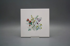 Obklad 20x20cm Kvetoucí louka motiv C WM