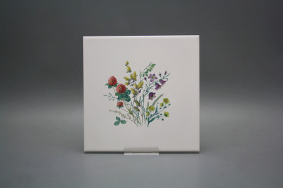 Obklad 20x20cm Kvetoucí louka motiv C WM č.1