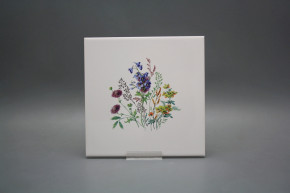 Obklad 20x20cm Kvetoucí louka motiv D WM