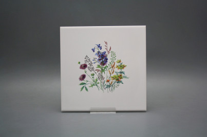 Obklad 20x20cm Kvetoucí louka motiv D WM č.1
