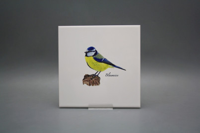 Obklad 20x20cm Modřinka WM č.1