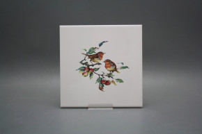 Obklad 20x20cm Červenka WM