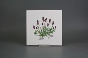 Sada obkladů 20x20cm 6dílná Herbs Classic WM