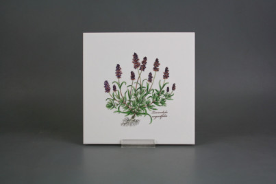 Sada obkladů 20x20cm 6dílná Herbs Classic WM č.1