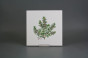 Sada obkladů 20x20cm 6dílná Herbs Classic WM č.5
