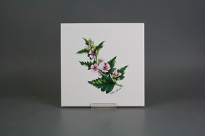 Sada obkladů 20x20cm 6dílná Herbs WM